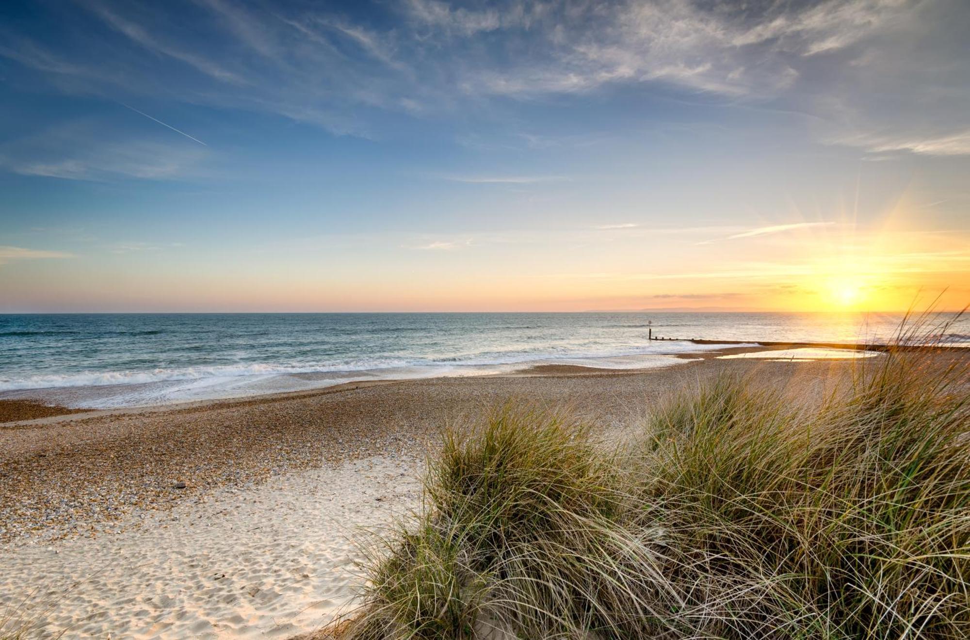 Cosy Bee And Apartment Bournemouth Exteriér fotografie